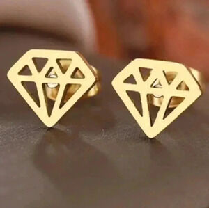 Diamond Hot Stainless Steel Earring